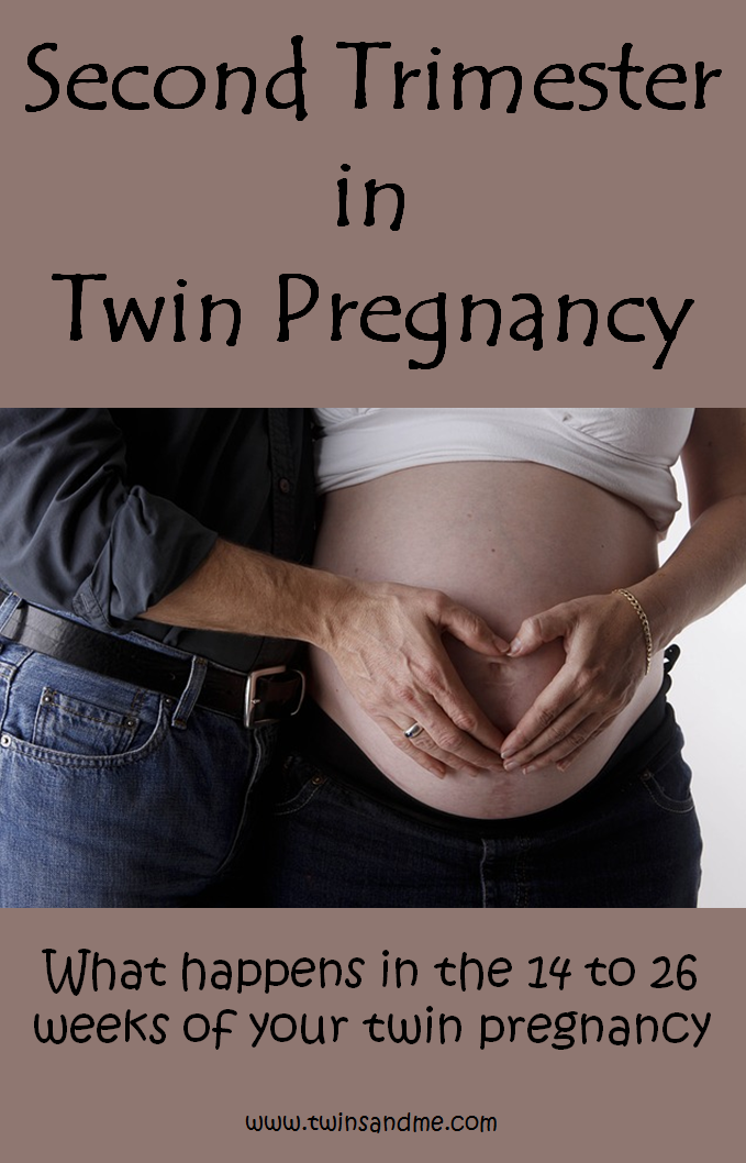 Second Trimester Of Twin Pregnancy What Should You Look For Twins And Me 